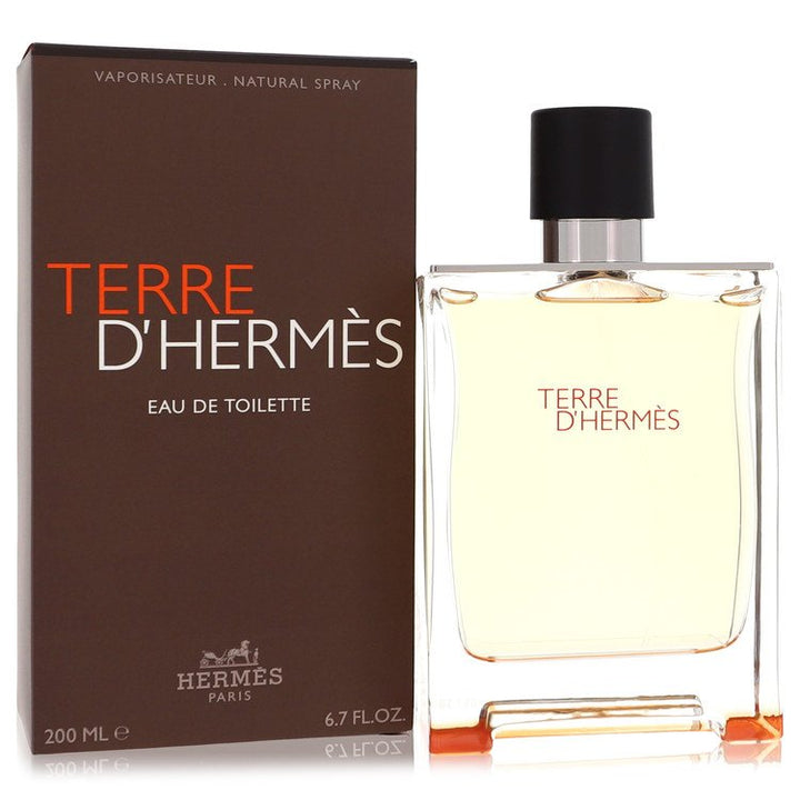 Hermes Terre d'Hermes Eau de Toilette bottle and packaging on a white background
